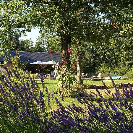 La Villa Des Pins Verrieres  Buitenkant foto