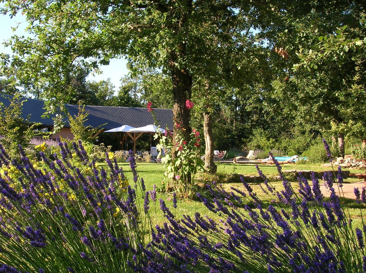 La Villa Des Pins Verrieres  Buitenkant foto